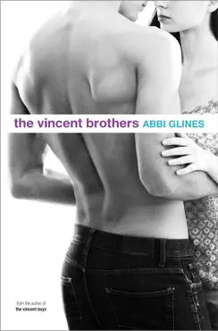 the vincent brothers book cover image