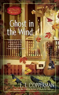 ghost in the wind book cover image