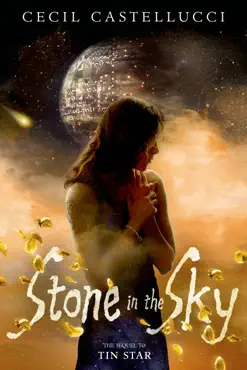 stone in the sky book cover image