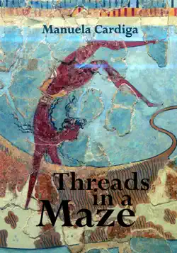 threads in a maze book cover image