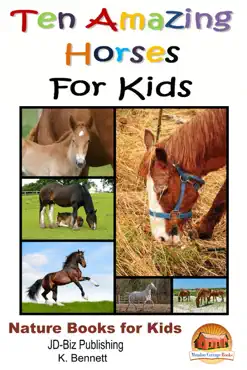 ten amazing horses for kids book cover image