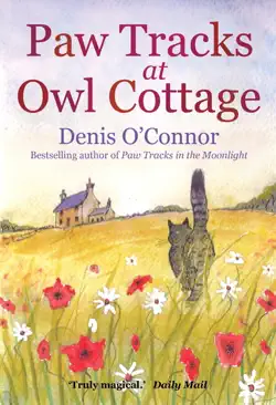 paw tracks at owl cottage imagen de la portada del libro