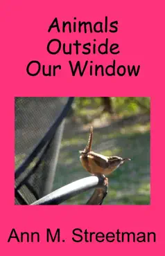 animals outside our window book cover image