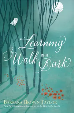 learning to walk in the dark book cover image