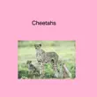 Cheetahs synopsis, comments