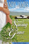 Saving Grace (Safe Havens 1) e-book