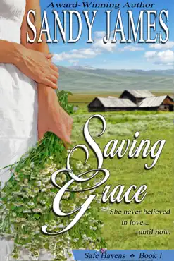saving grace (safe havens 1) book cover image