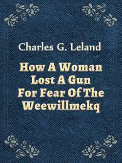 how a woman lost a gun for fear of the weewillmekq book cover image