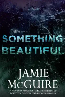 something beautiful: a novella book cover image