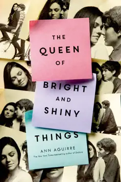 the queen of bright and shiny things book cover image