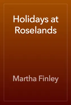 holidays at roselands book cover image