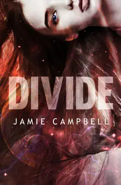 divide book cover image