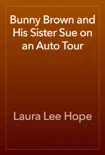 Bunny Brown and His Sister Sue on an Auto Tour synopsis, comments