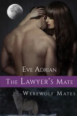 the lawyer's mate book cover image