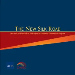 the new silk road book cover image