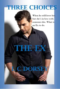 three choices- the ex book cover image