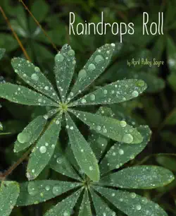 raindrops roll book cover image