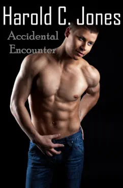 accidental encounter book cover image