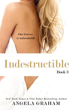 indestructible imagen de la portada del libro