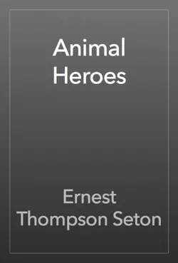 animal heroes book cover image