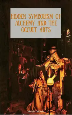 hidden symbolism of alchemy and the occult arts book cover image