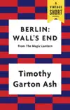 Berlin: Wall's End sinopsis y comentarios