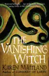 The Vanishing Witch synopsis, comments