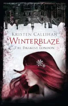 winterblaze imagen de la portada del libro