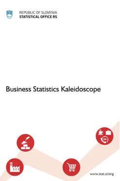 business statistics kaleidoscope book cover image