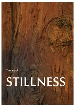 stillness - finding your own ground zero book cover image