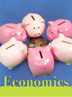 economics book cover image