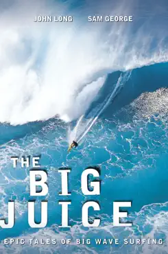 big juice book cover image