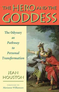 the hero and the goddess book cover image