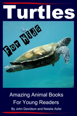 turtles: for kids - amazing animal books for young readers book cover image
