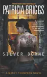 Silver Borne synopsis, comments
