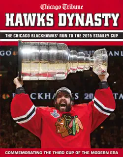 hawks dynasty book cover image
