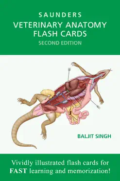 veterinary anatomy flash cards - book cover image
