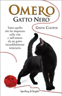 omero gatto nero book cover image
