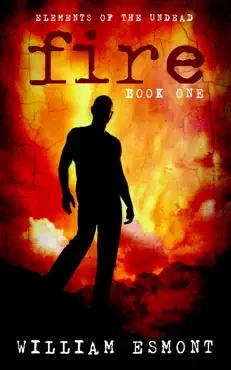 fire book cover image