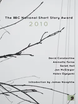 the bbc national short story award 2010 book cover image