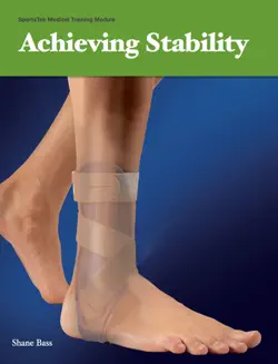 achieving stability imagen de la portada del libro