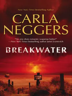 breakwater imagen de la portada del libro