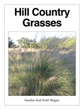 Hill Country Grasses book summary, reviews and download