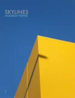 skylines book cover image