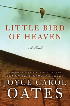 little bird of heaven book cover image