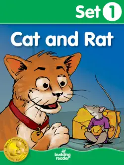 budding reader book set 1: cat and rat book cover image