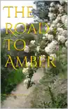The Road to Amber synopsis, comments