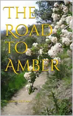 the road to amber book cover image