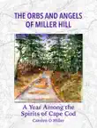 The Orbs and Angels of Miller Hill synopsis, comments