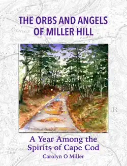 the orbs and angels of miller hill book cover image